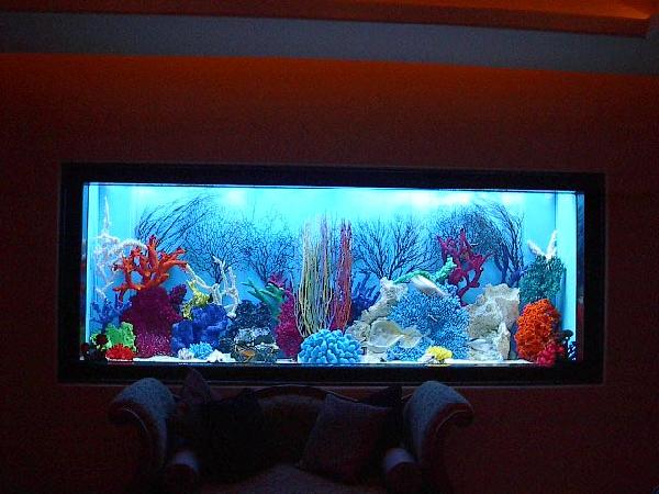 Bienes Raices Horizonte House (16)