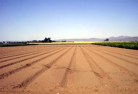 Real Estate Baja Mexico